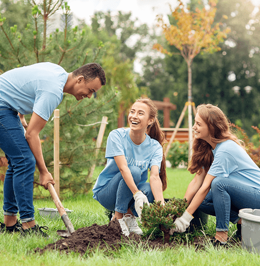 Gardening